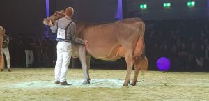 FB_IMG_1516266492046